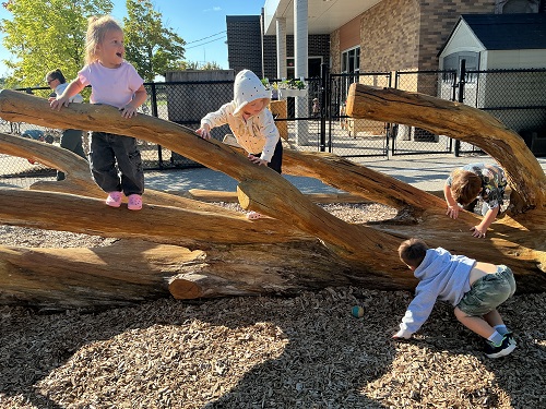 Preschool children engaging in social play on the climber