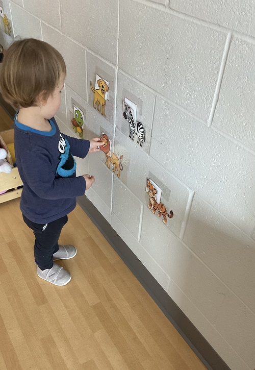 boy at the animals