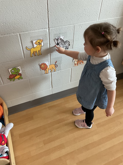 girl at animals