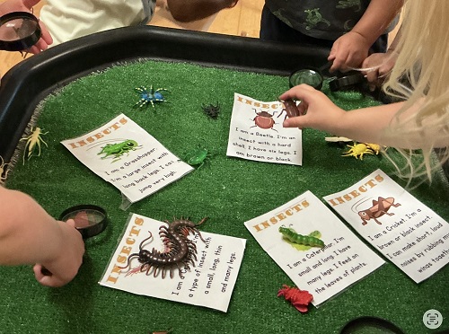 Group of children matching insects to information cards