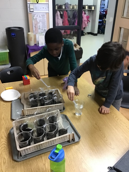 children planting