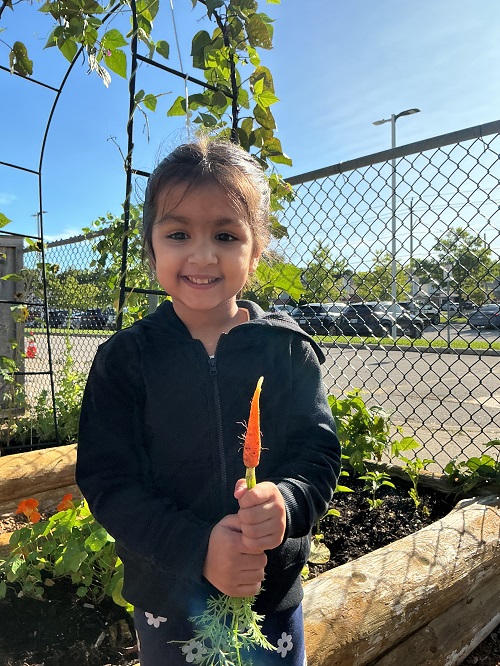 child holding a carrot from the garden
