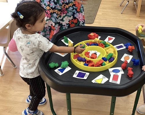 child sorting colours