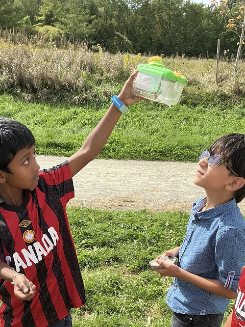 2 children examining a grasshopper inside a bug catcher